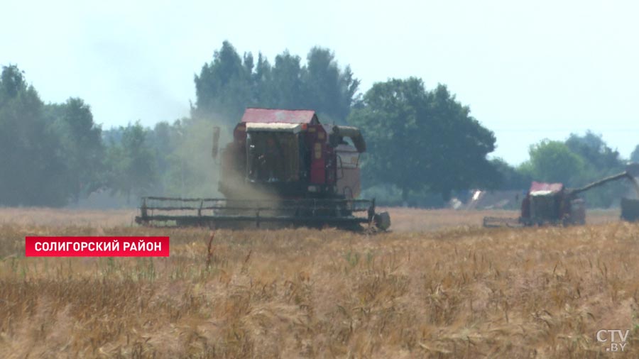 Из-за аномальной жары на полях горят комбайны. В МЧС рассказали, как вовремя предотвратить пожар-4