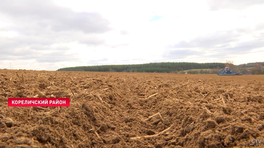 «Будем стараться чем-то замещать». Как на белорусском предприятии находят выходы в условиях санкций?-1