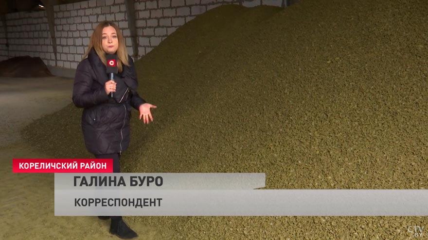 «Будем стараться чем-то замещать». Как на белорусском предприятии находят выходы в условиях санкций?-13