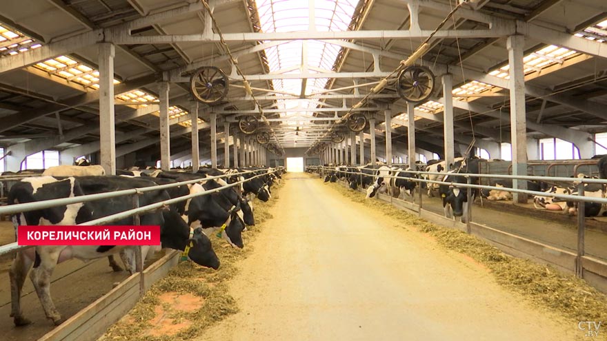 «Будем стараться чем-то замещать». Как на белорусском предприятии находят выходы в условиях санкций?-16