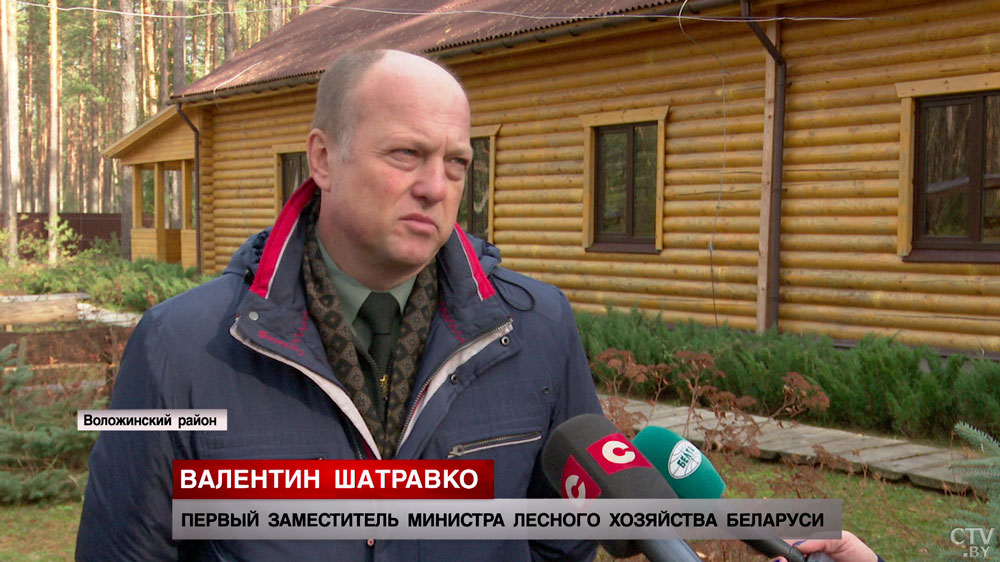 Выполняют роль газонокосилок. Кто такие тарпаны и как в Налибокском заказнике возрождают их популяцию? -16 Выполняют роль газонокосилок. Кто такие тарпаны и как в Налибокском заказнике возрождают их популяцию? -16