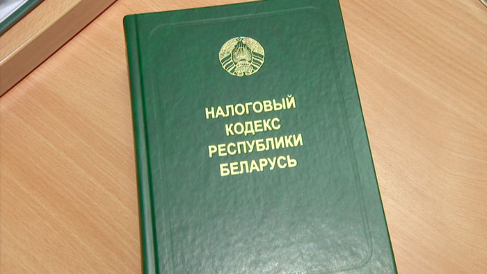 Налоговая проверила декларации о тратах и доходах у более чем 11 тысяч белорусов