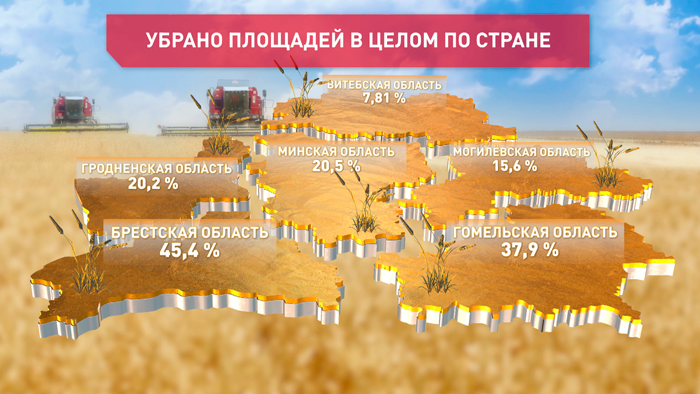 В Беларуси намолотили второй миллион тонн зерна