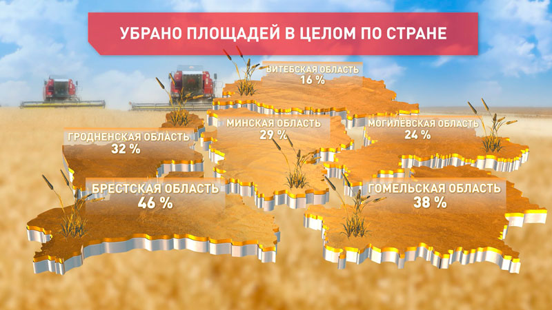 В Беларуси намолотили более 2 млн тонн зерновых колосовых культур