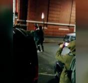 Нападение на посольство Беларуси в Лондоне и избиение консула. Что известно на данный момент?