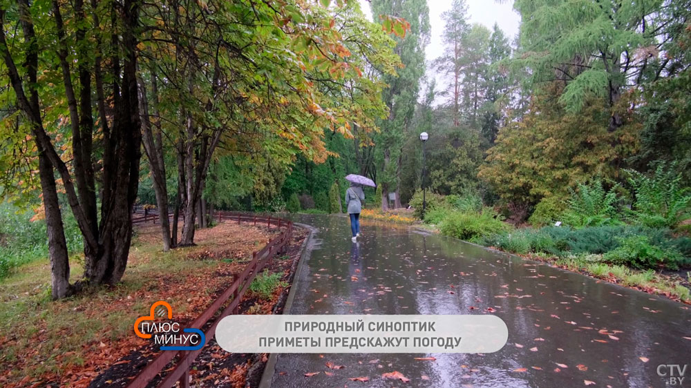 Народные приметы на неделю с 2 по 7 октября. Какое блюдо принято печь с приходом холодов и когда выпадет снег?-7