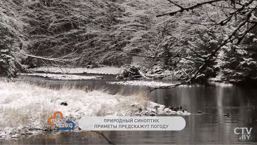 Народные приметы на начало весны. Какому святому молиться, чтобы избавиться от головной боли?-4