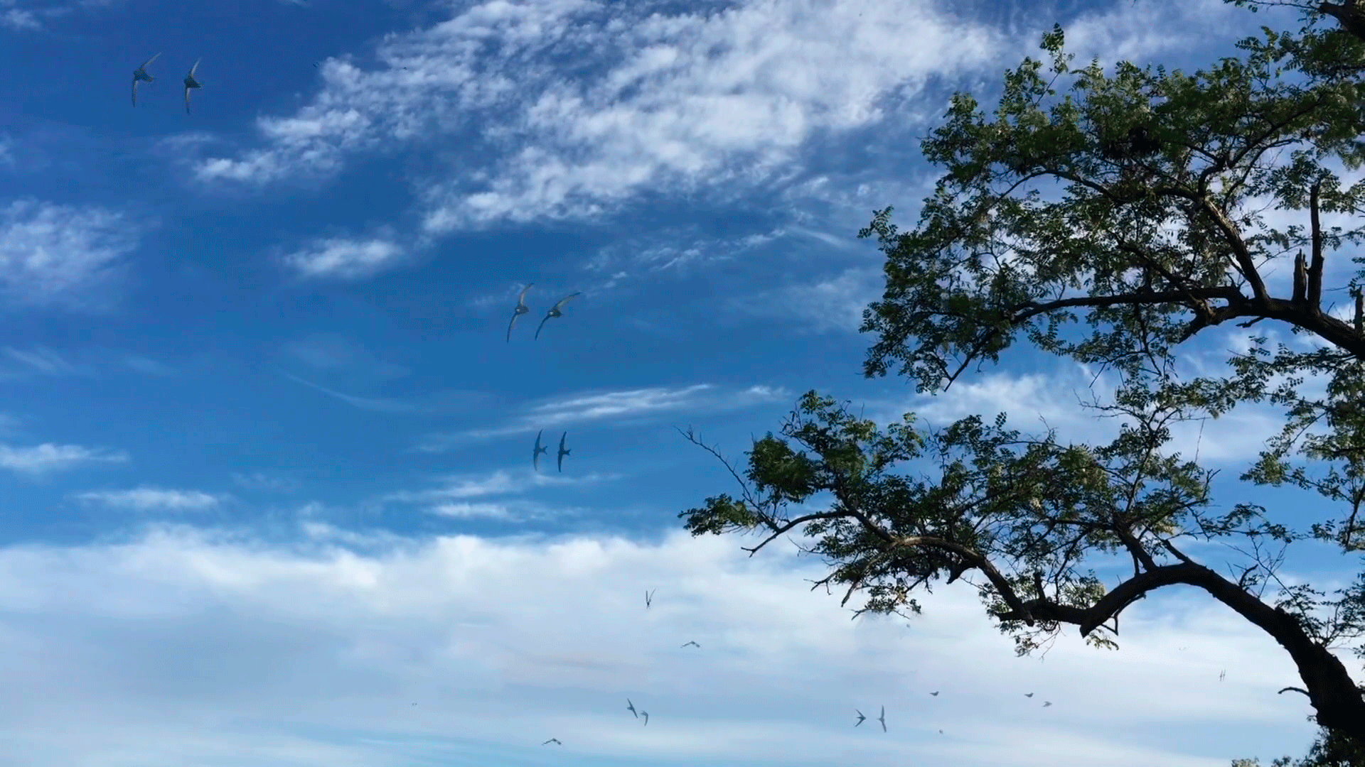 Народные приметы на июнь. По этим признакам можно узнать погоду на лето и будет ли год урожайным