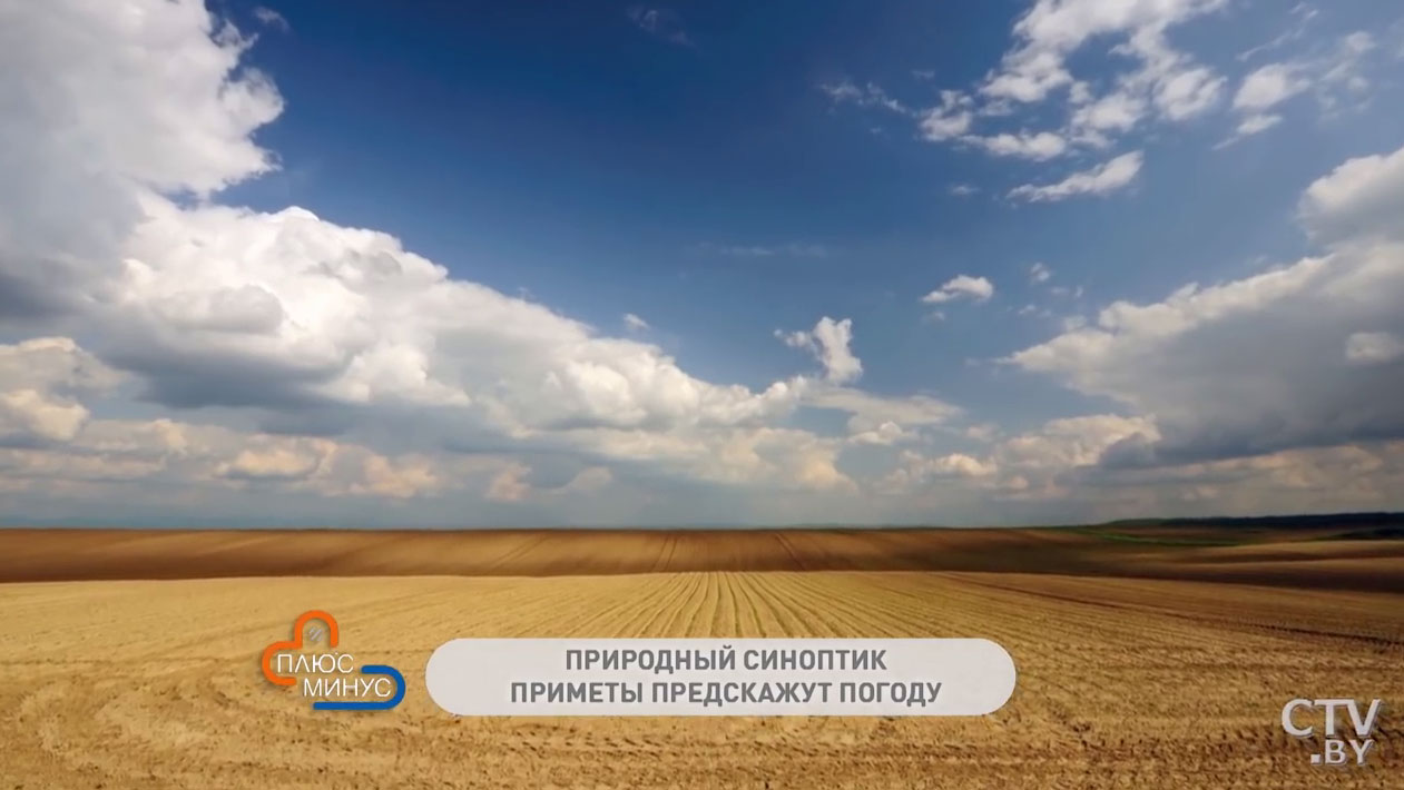 Что нужно сделать в мае, чтобы здоровья прибавилось на весь год? Эти народные приметы расскажут о погоде на лето-1