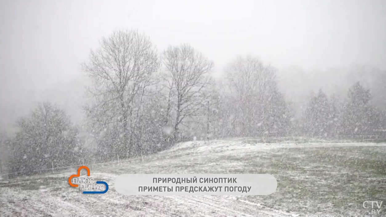 Погода 14 февраля показывает, какой будет вся весна. По каким приметам узнать, что скоро потеплеет?-1 Погода 14 февраля показывает, какой будет вся весна. По каким приметам узнать, что скоро потеплеет?-1