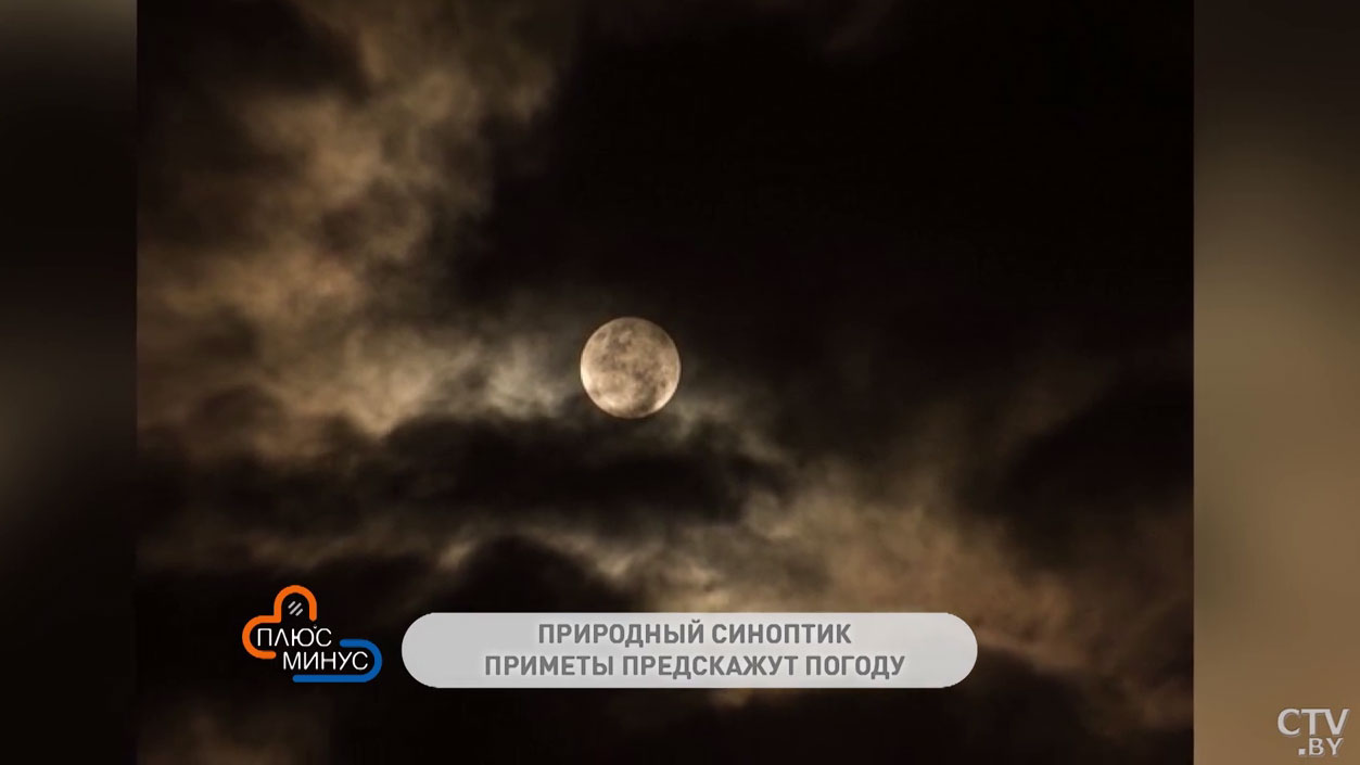 В какой день нужно пройтись по росе, чтобы обрести силу и здоровье? Эти  приметы расскажут и о погоде в июле-7