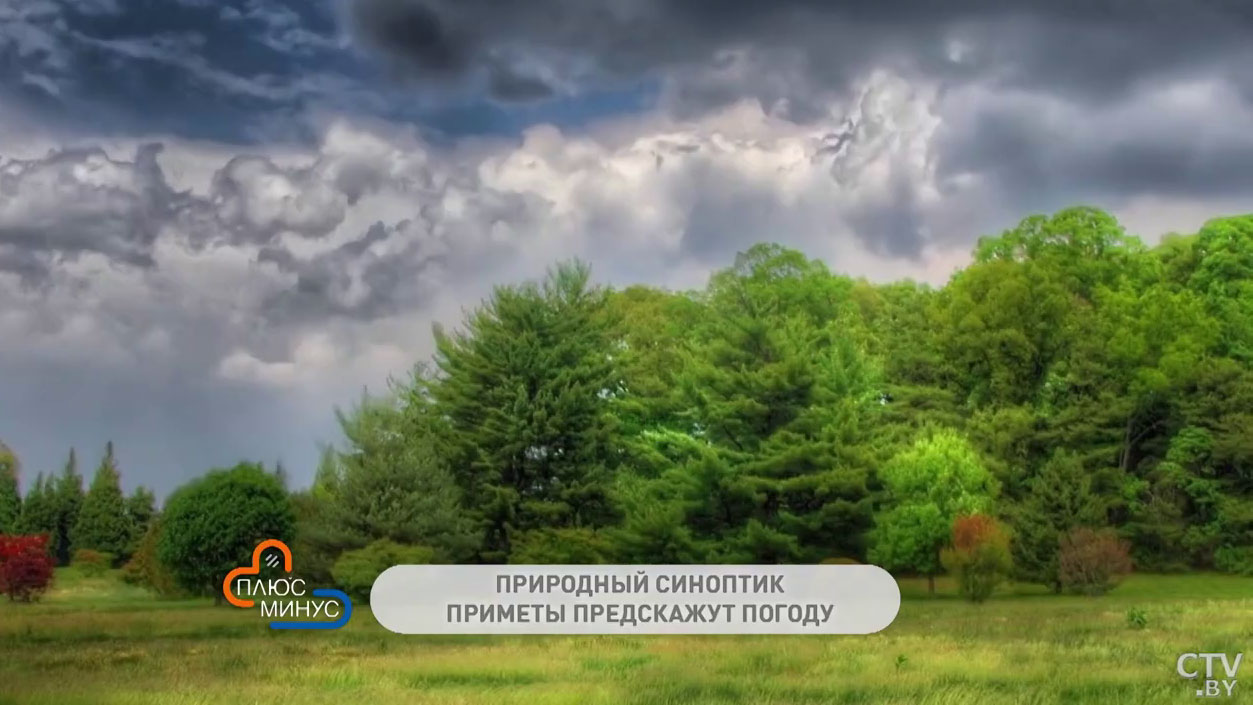 В какой день нужно пройтись по росе, чтобы обрести силу и здоровье? Эти  приметы расскажут и о погоде в июле-4