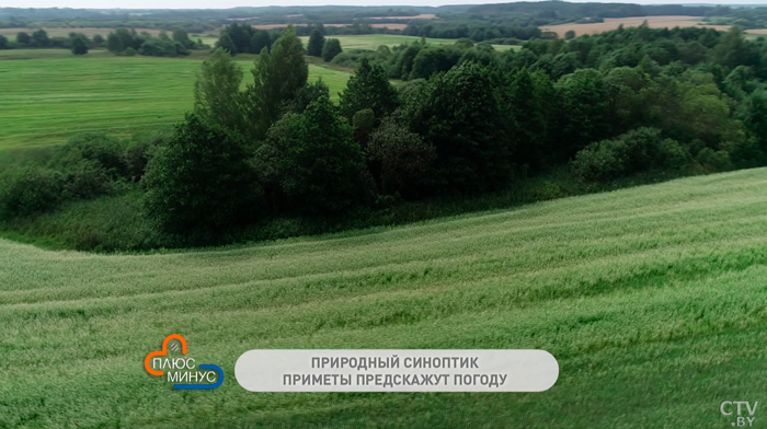 Дождь зарядит на Елисея – жди 7 дней сырой погоды. Народные приметы на конец июня-7