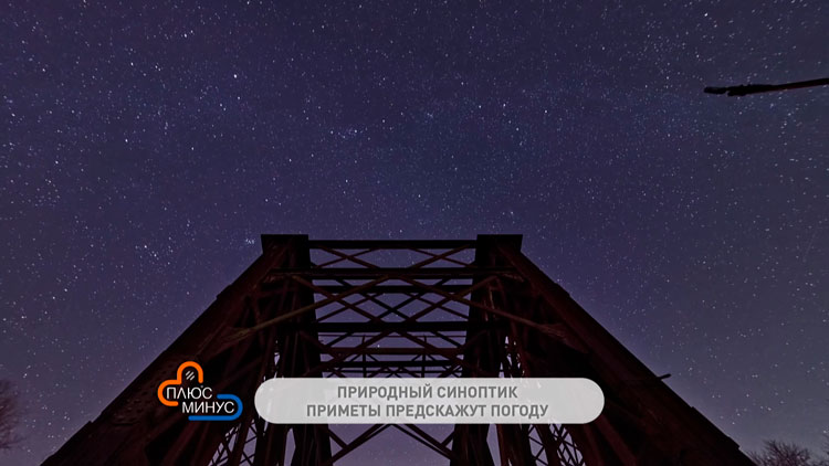 Облака идут против ветра – будет снег. Собрали народные приметы на начало января-4