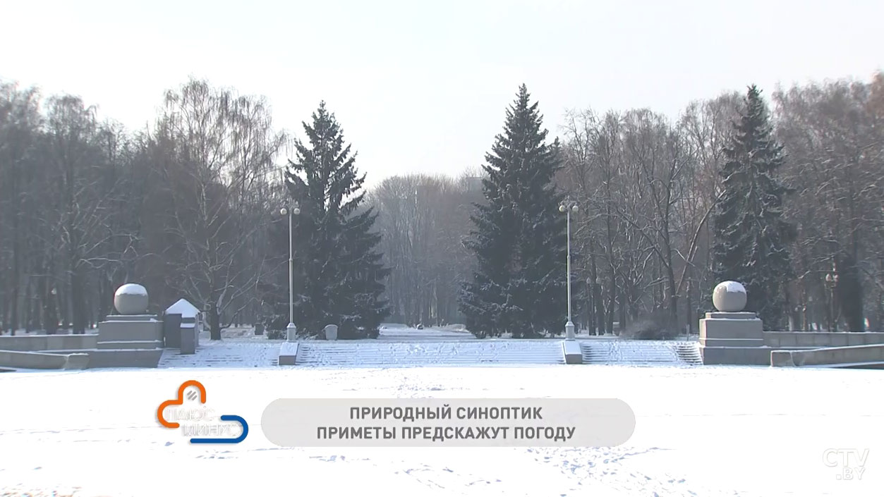 В какой день принято задабривать домового и ждать ли сильных заморозков? Рассказываем о традициях и приметах февраля-1