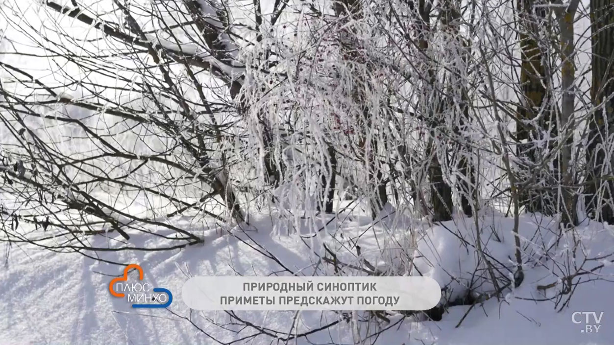 В какой день принято задабривать домового и ждать ли сильных заморозков? Рассказываем о традициях и приметах февраля-4