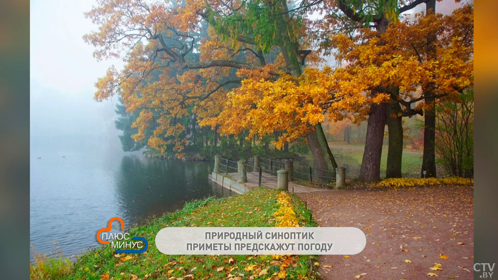 По каким народным приметам предсказывают скорый приход зимы?-1