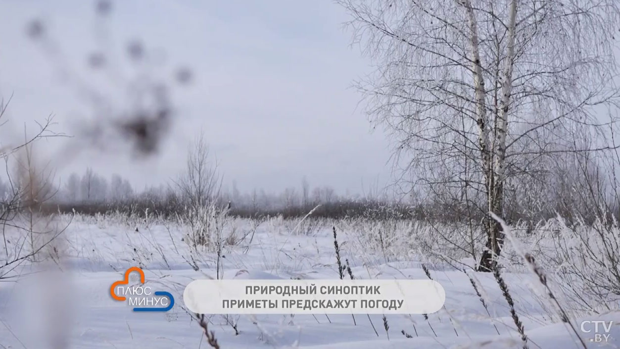 В какой день нужно поклониться зиме, чтобы она не злилась? Эти приметы подскажут приход морозов-1