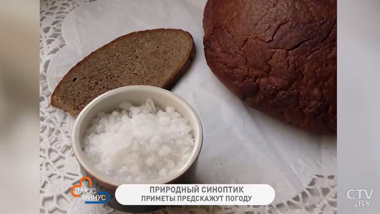 Зачем давать животным соль и много ли ягод и грибов будет в следующем году? Народные приметы на последнюю неделю ноября-1