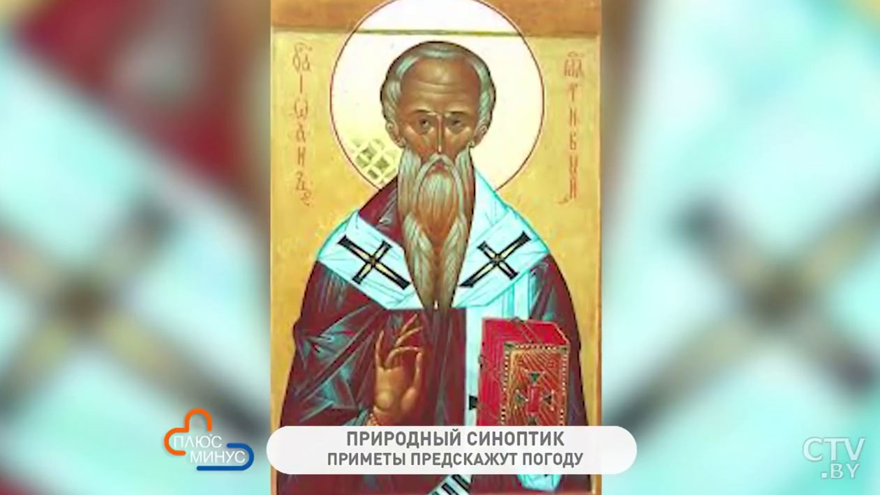 Зачем давать животным соль и много ли ягод и грибов будет в следующем году? Народные приметы на последнюю неделю ноября-4