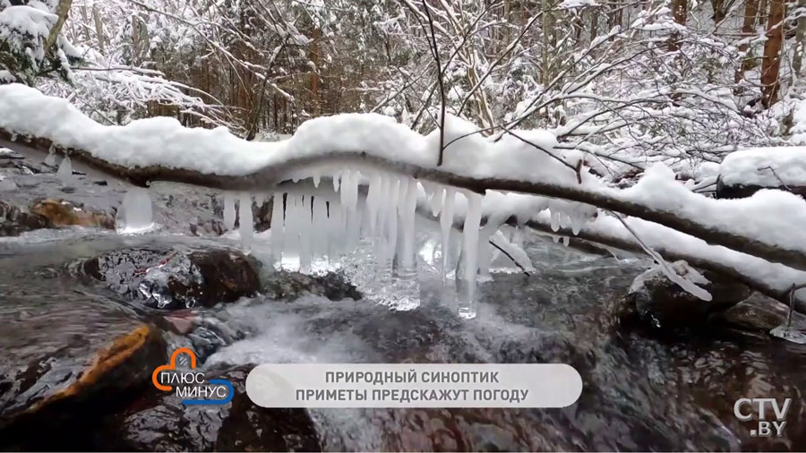 Народные приметы на март. Погода на лето и целебные свойства талой воды-1