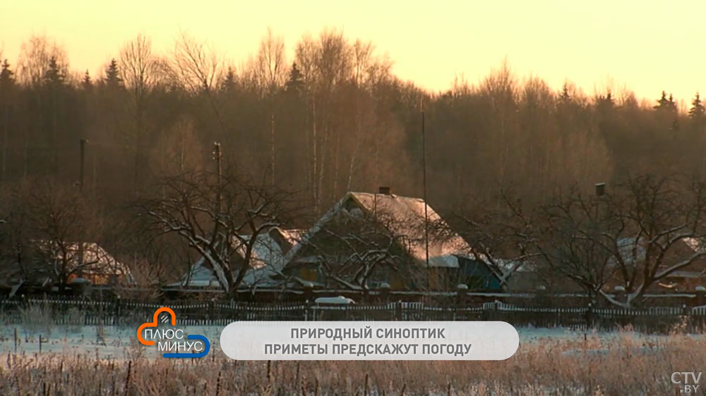 Если 1 декабря погода быстро меняется, то и вся зима будет переменчивой. Вот приметы, которые подскажут приход морозов-1