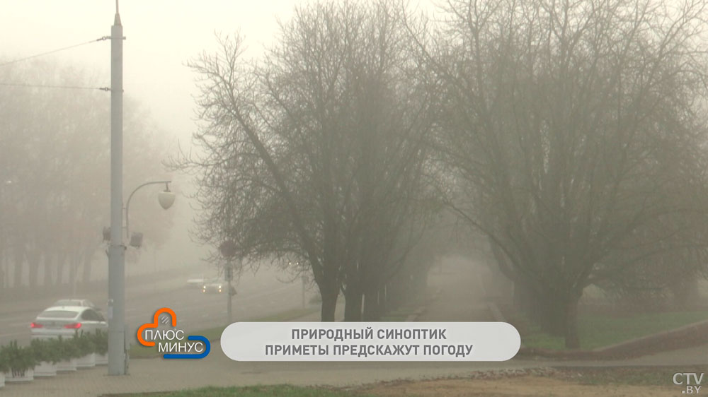 Если 1 декабря погода быстро меняется, то и вся зима будет переменчивой. Вот приметы, которые подскажут приход морозов-4