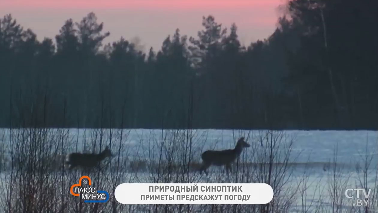 В какой день наготовить много еды, чтобы дом был богаче? Народные приметы на первую неделю марта-1