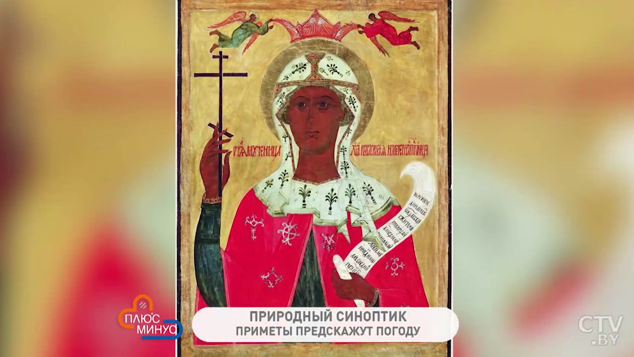 Если птицы стайками у дома – скоро придут холода. Как наши предки узнавали погоду в Синичкин праздник?-1