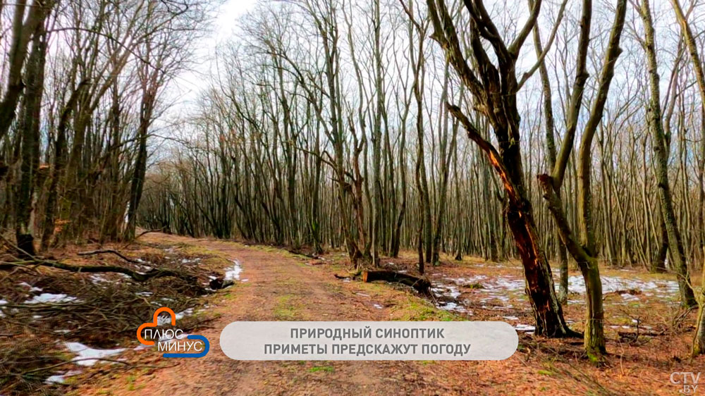 Народные приметы на начало апреля: когда ждать тепла, как готовиться к  Благовещению и будет ли год урожайным-7