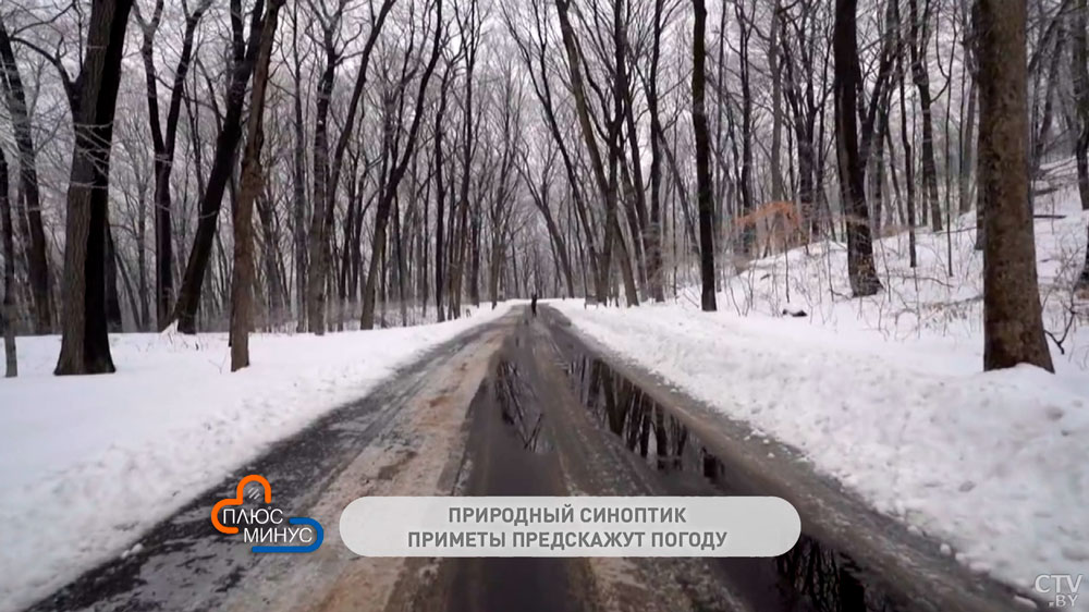 Народные приметы на начало апреля: когда ждать тепла, как готовиться к  Благовещению и будет ли год урожайным-1