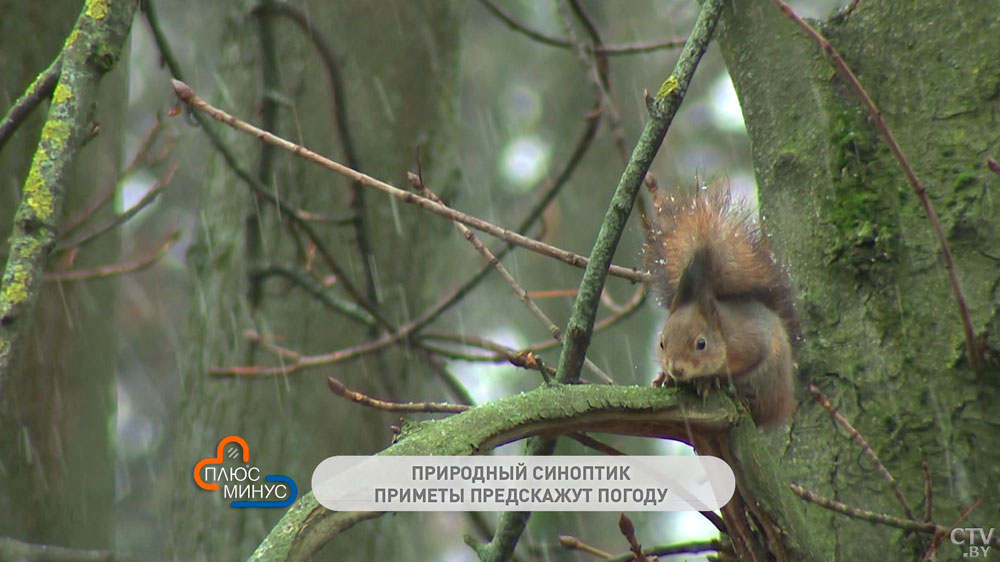 Если в Рождественский сочельник тепло, весна будет холодная. Народные приметы на первую неделю января-4