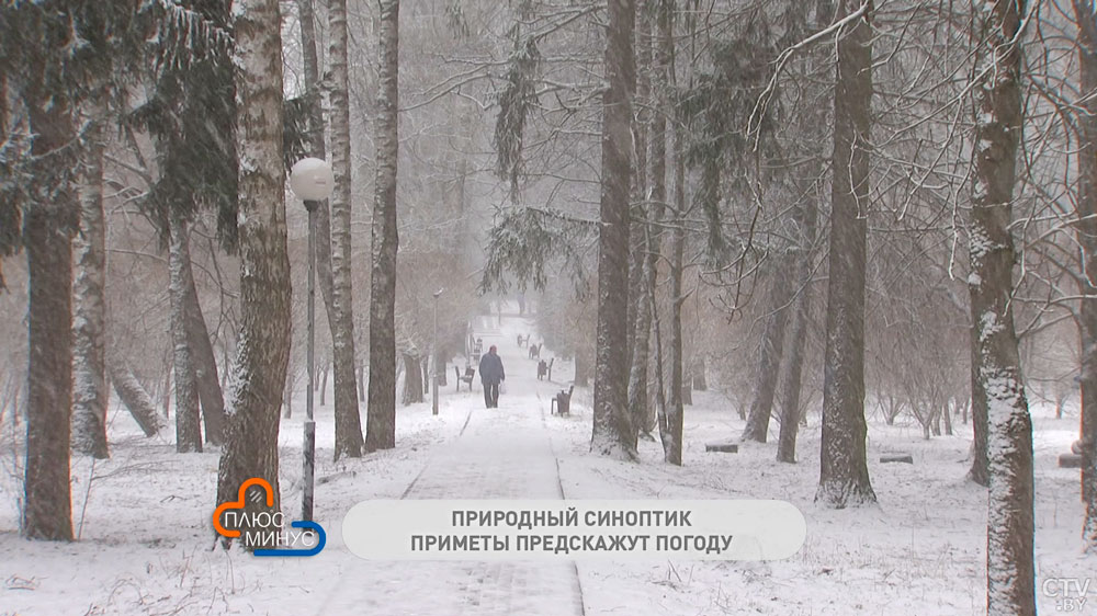 Сильный мороз 31 декабря – к метелям и снегопадам. Эти предновогодние приметы предскажут погоду на Святки и лето-1