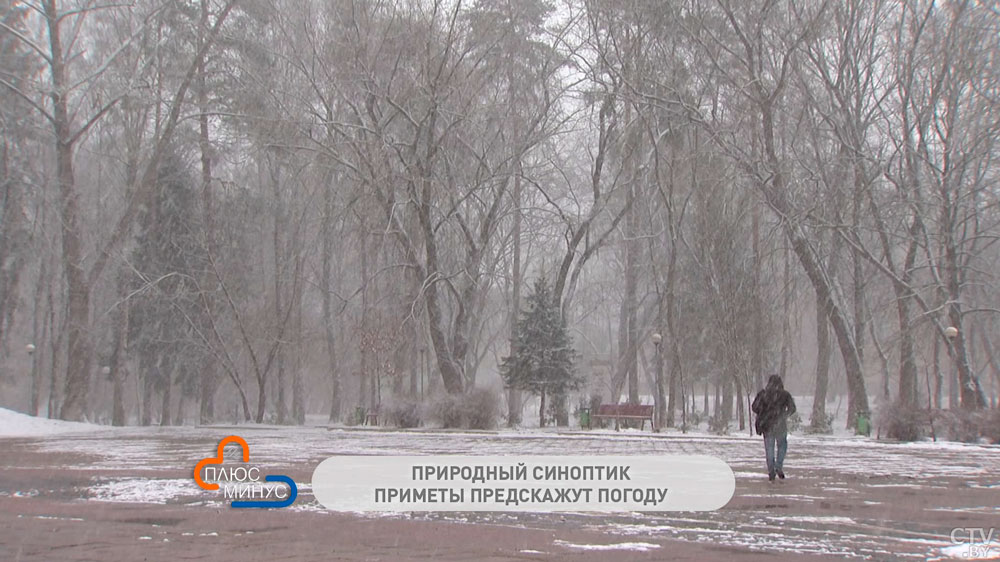 Сильный мороз 31 декабря – к метелям и снегопадам. Эти предновогодние приметы предскажут погоду на Святки и лето-4