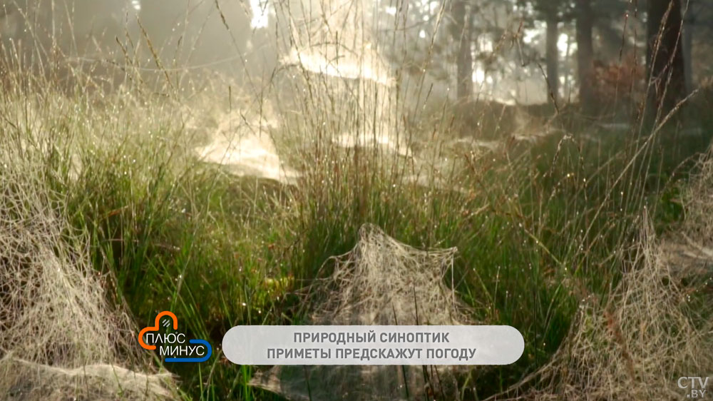 Народные приметы на сентябрь: ждать ли раннюю зиму и будет ли осень тёплой?-1