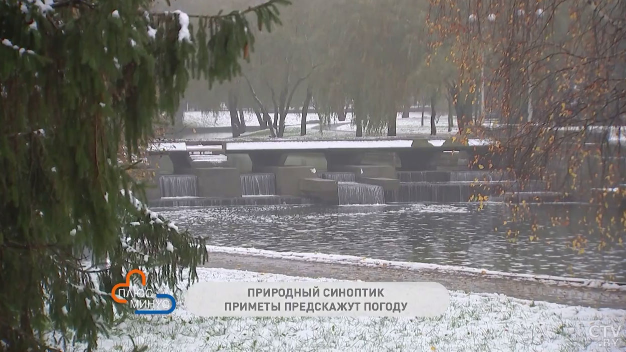Если 15 декабря плохая погода, такой она останется до конца января. Эти приметы предскажут погоду на зиму-1