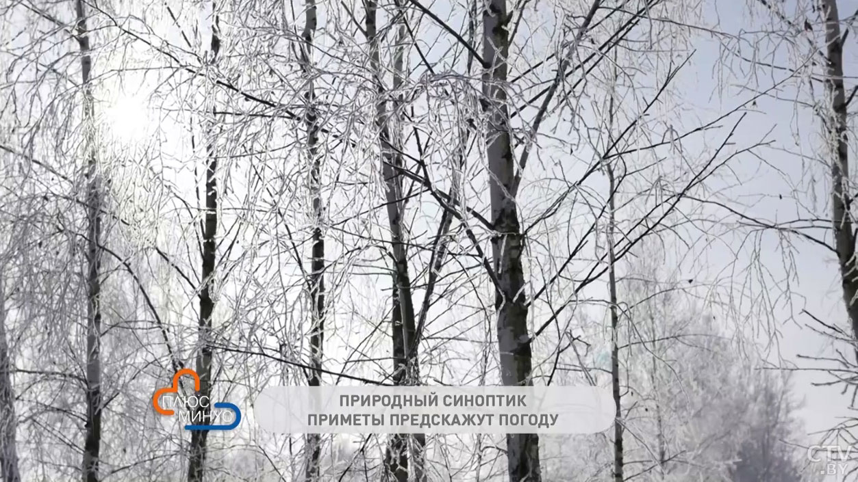 Если 15 декабря плохая погода, такой она останется до конца января. Эти приметы предскажут погоду на зиму-4