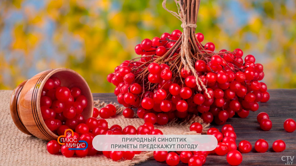 Какому святому молиться от болезней и когда ни в коем случае нельзя меняться? Народные приметы, которые стоит знать-7