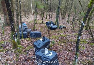 В Вороновском районе пограничники со стрельбой задержали нарушителя