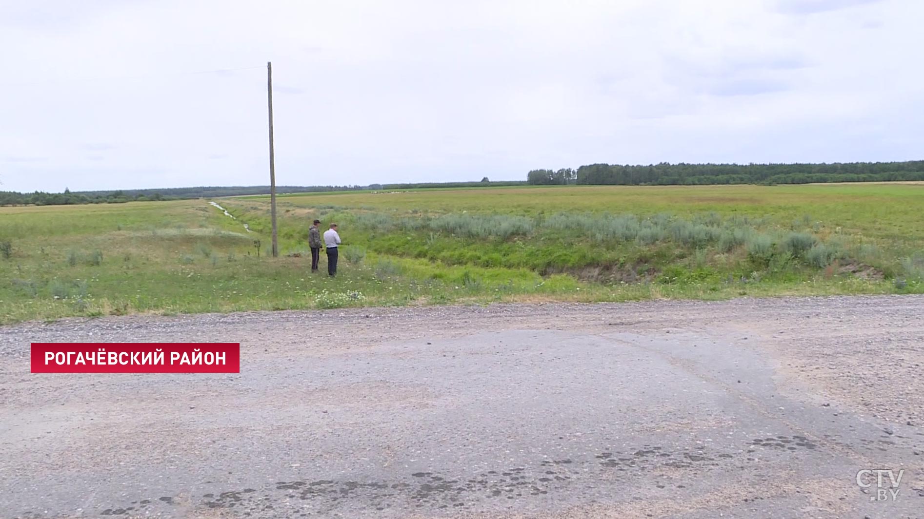 «Думал, что это деревяшка»: в Рогачёвском районе лесник спустился помыть руки в реке и нашёл бивень мамонта-4