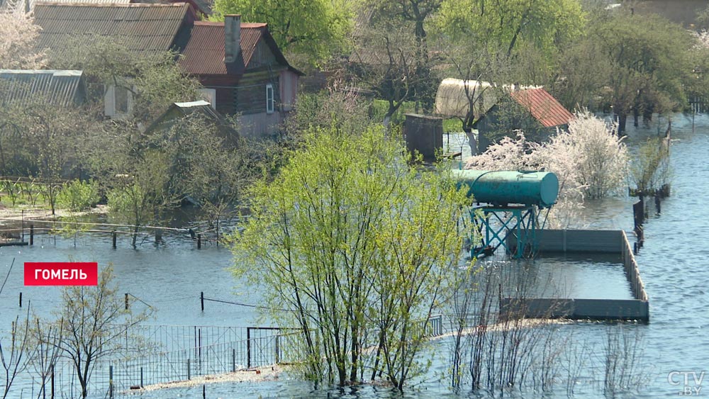 ​Глубина на затопленных землях – до 2,5 метра. Наводнение в Гомельской области не прекращается-7