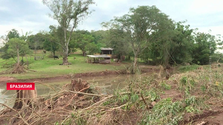 В Бразилии из-за наводнений уничтожено почти 80% посевов