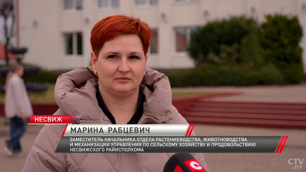 В Беларуси посеяно более половины ранних зерновых и зернобобовых культур-2 В Беларуси посеяно более половины ранних зерновых и зернобобовых культур-2