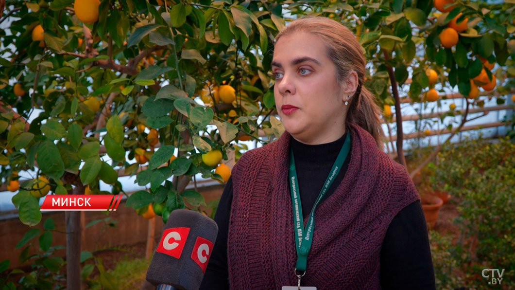 Выставка «Волшебство зимних тропиков» проходит в Центральном ботаническом саду-4