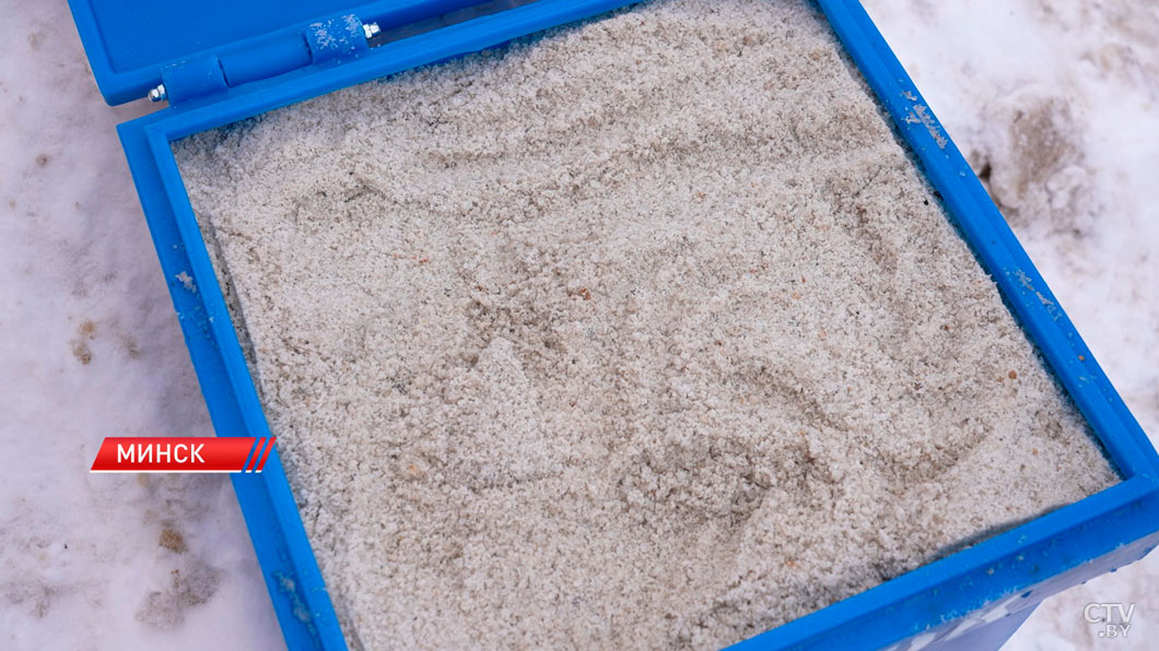 Минск опять замело. Как столица справляется со снежным ударом-8