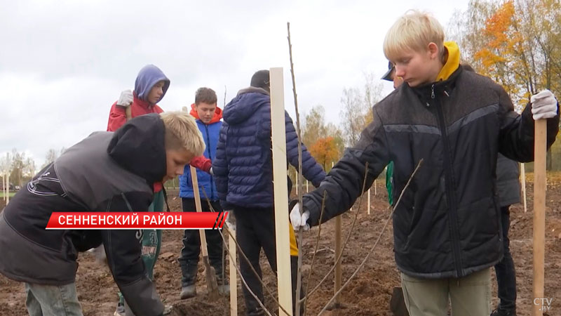 У Сенненского детского дома высадили 130 деревьев-2