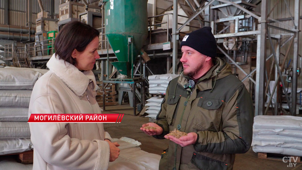 Тысячи тонн элитных семян уже прошли отбор! Как в Беларуси готовят «золотой фонд» для посевной?-8