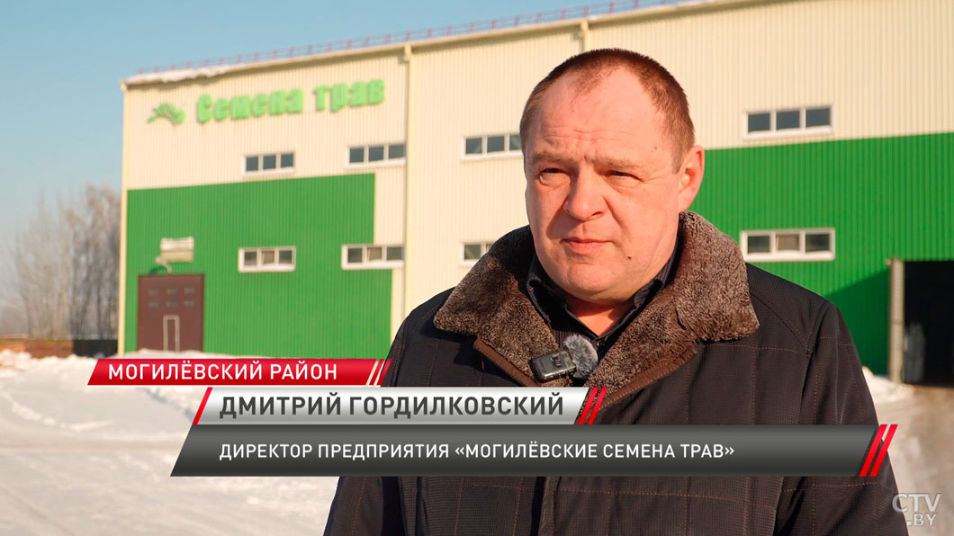 Тысячи тонн элитных семян уже прошли отбор! Как в Беларуси готовят «золотой фонд» для посевной?-4