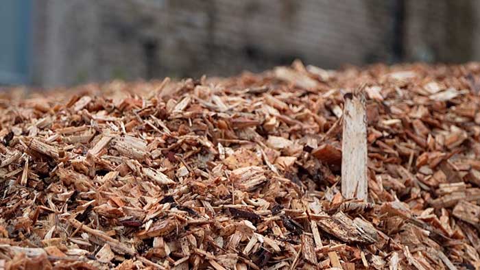 Выгодно и рационально – Беларусь все активнее переходит на местные виды топлива