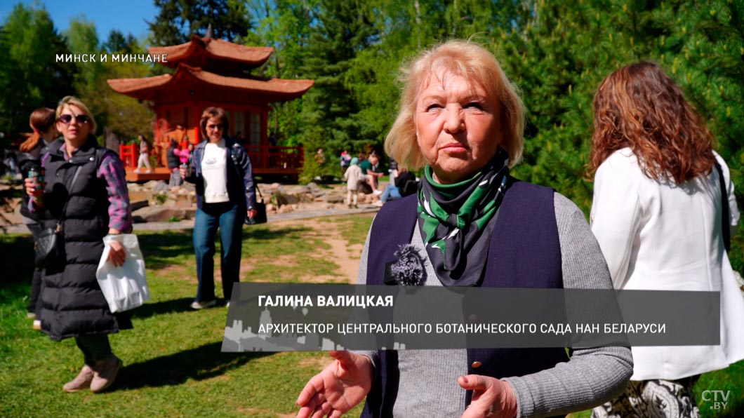 Уголок Японии в ботаническом саду! Показываем самое инстаграмное место этой весны-2 Уголок Японии в ботаническом саду! Показываем самое инстаграмное место этой весны-2